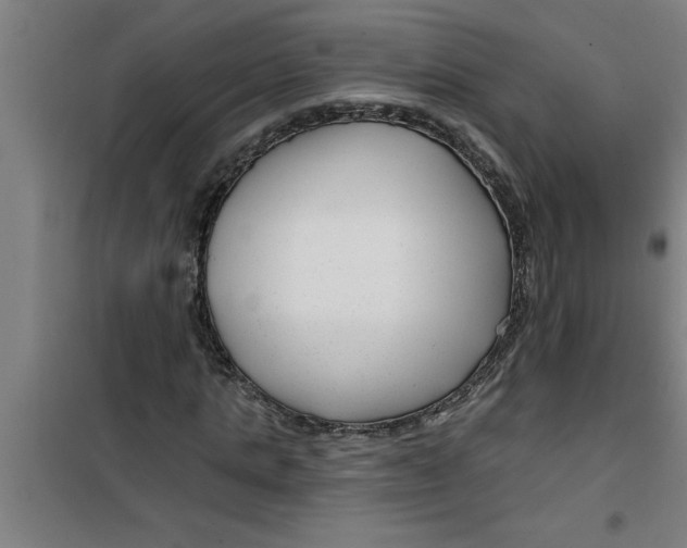 X0000099480821200805301617