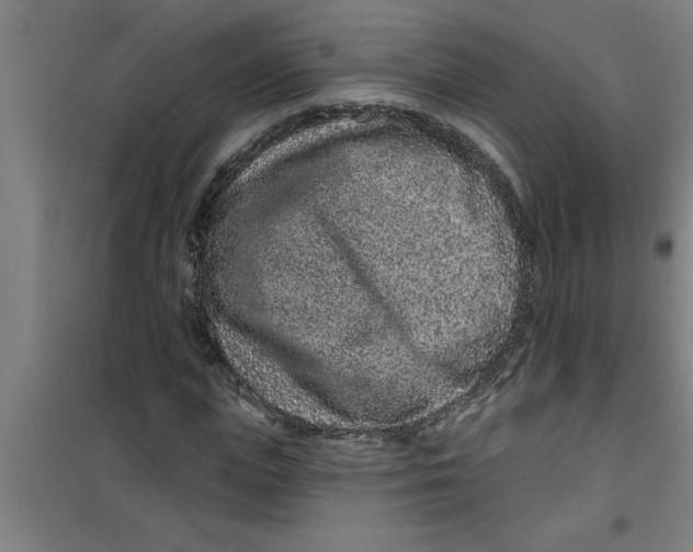 X0000099480823200805301617