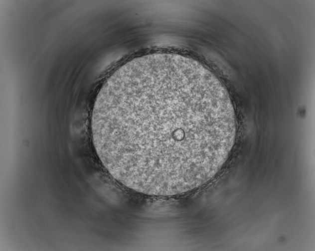 X0000099480824200805301617