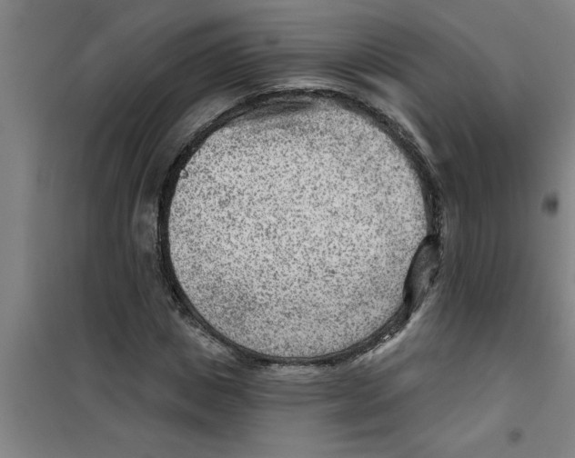 X0000099480825200805301617