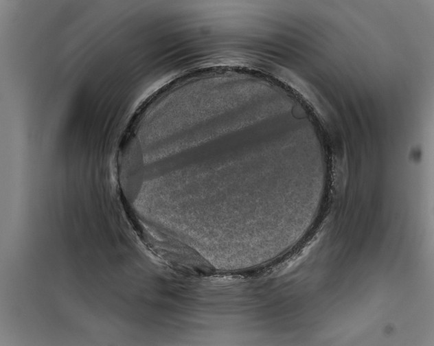 X0000099480826200805301617