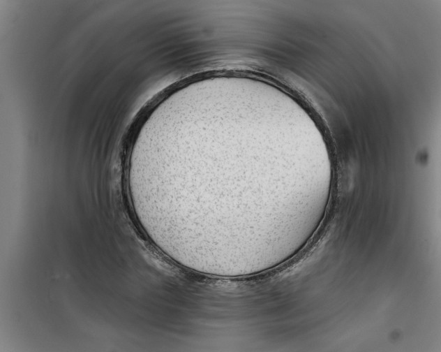 X0000099480827200805301617