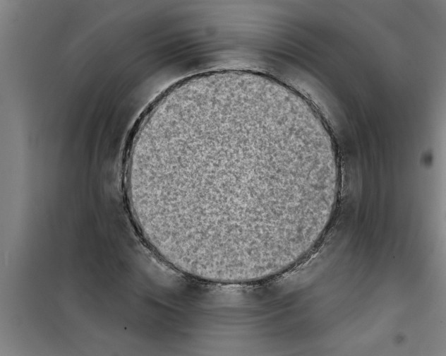 X0000099480828200805301617