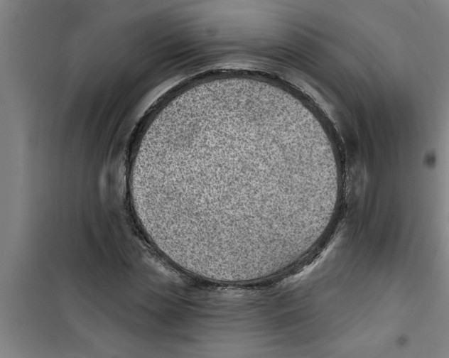 X0000099480829200805301617