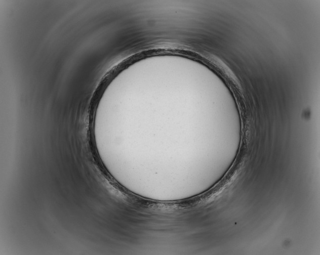 X0000099480831200805301617