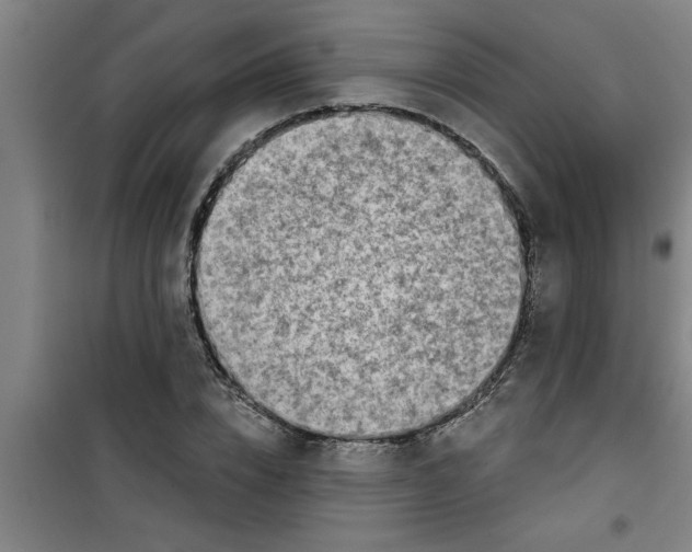 X0000099480832200805301617