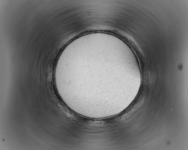 X0000099480833200805301617