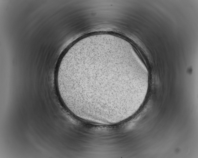 X0000099480834200805301617