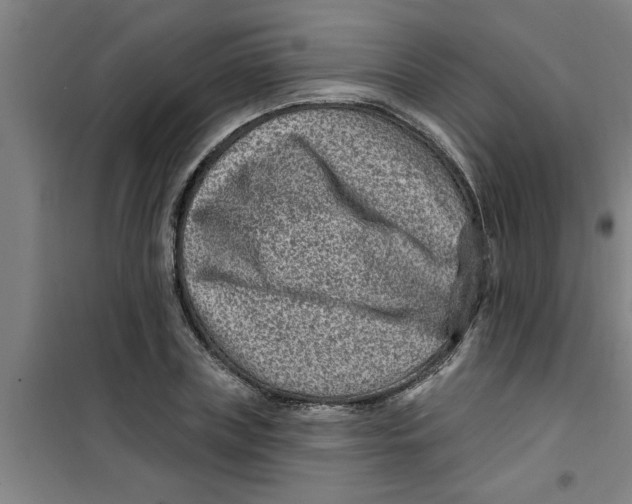 X0000099480835200805301617