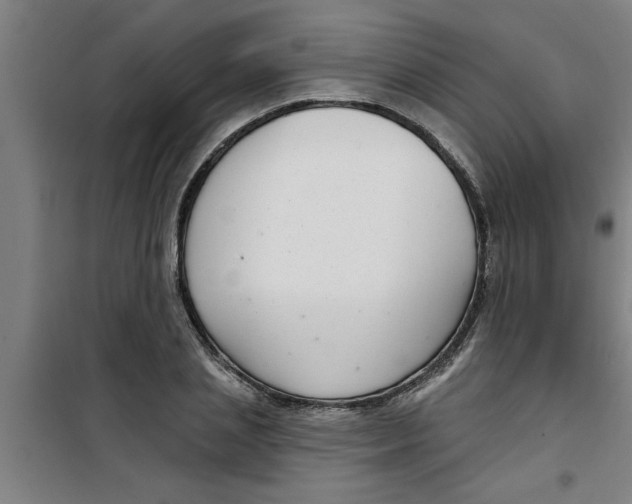 X0000099480837200805301617