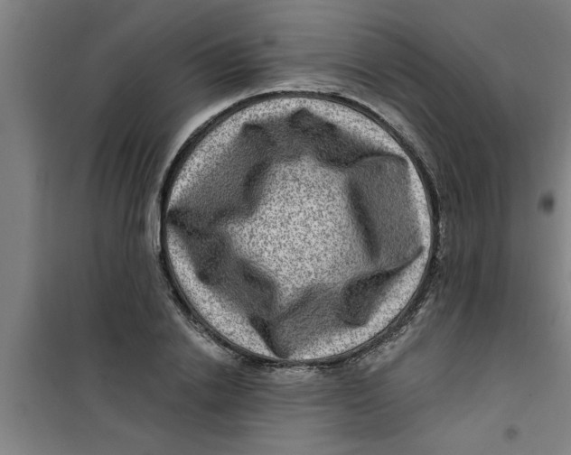 X0000099480838200805301617