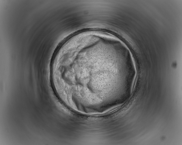 X0000099480840200805301617