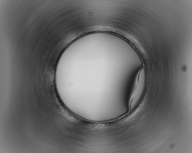 X0000099480841200805301617