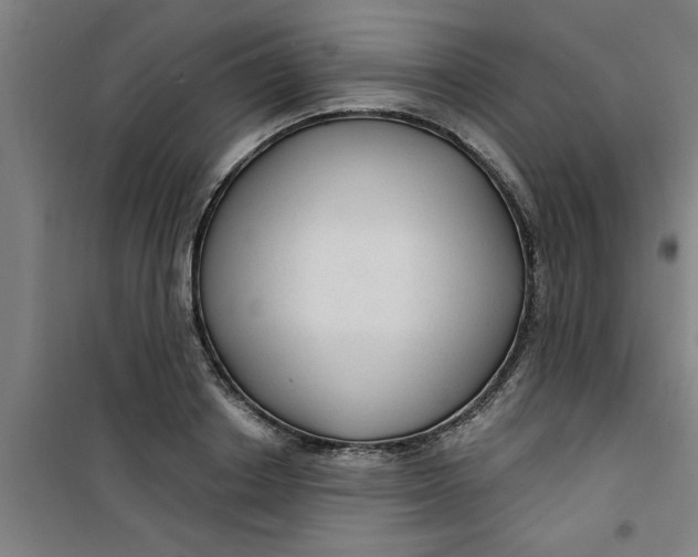 X0000099480842200805301617