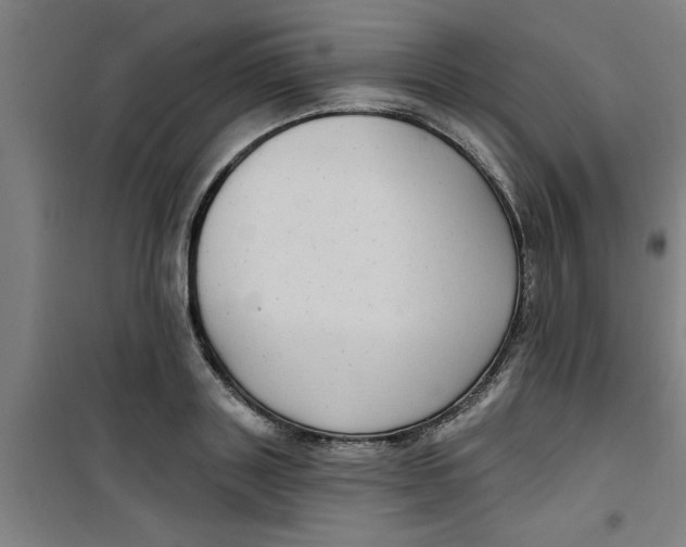 X0000099480843200805301617