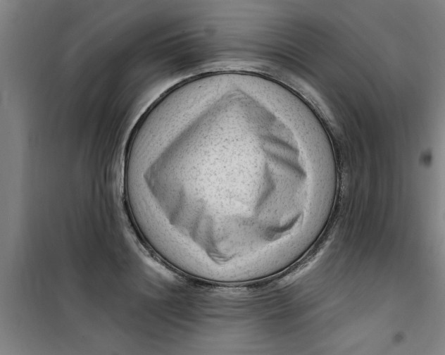 X0000099480844200805301617