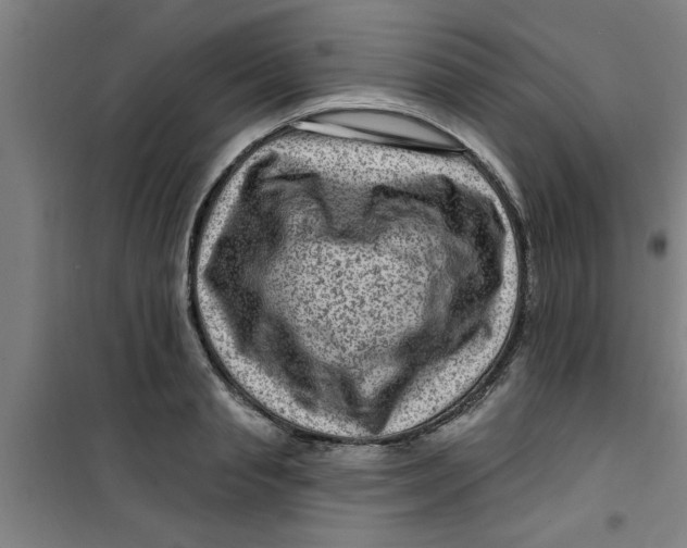 X0000099480845200805301617
