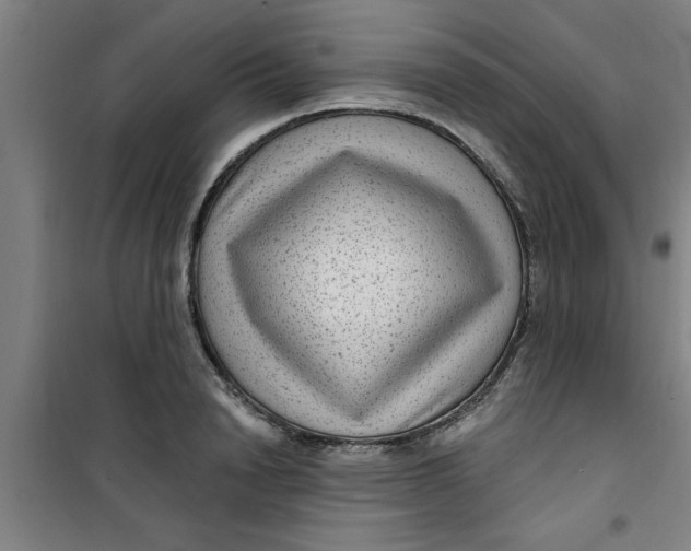 X0000099480846200805301617
