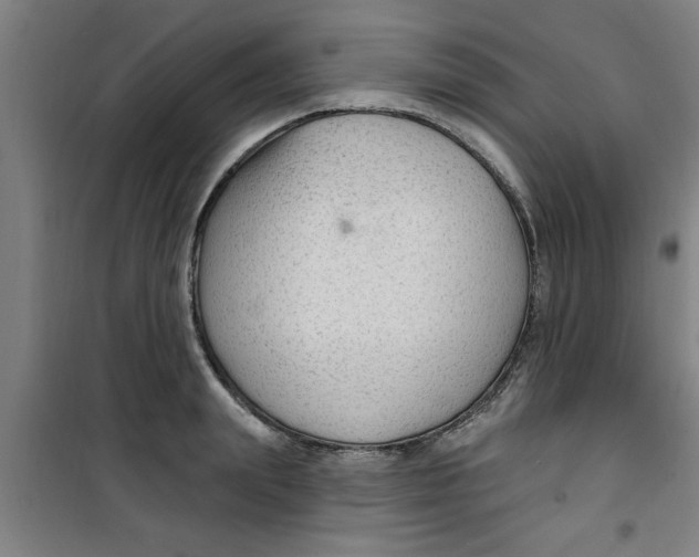 X0000099480847200805301617