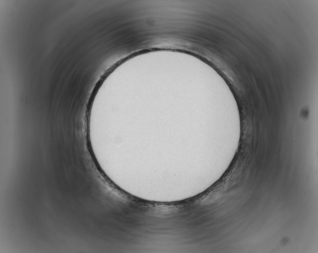 X0000099480848200805301617