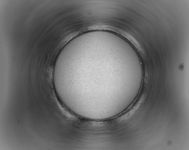 X0000099480849200805301617