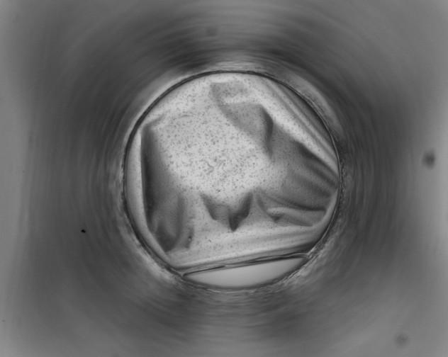 X0000099480852200805301617