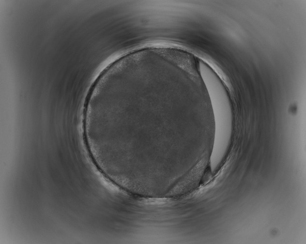 X0000099480853200805301617