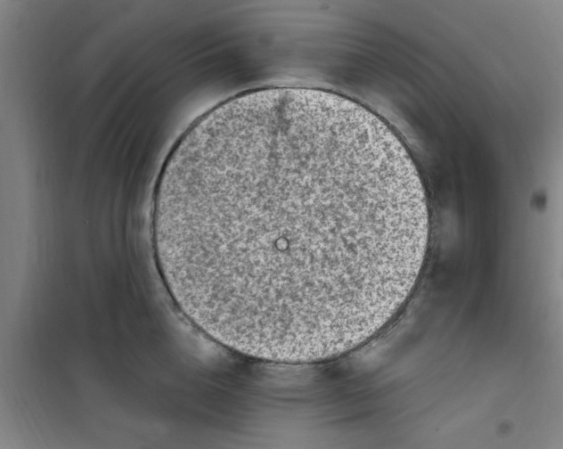 X0000099480856200805301617