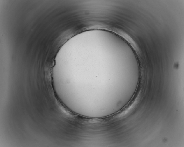 X0000099480857200805301617