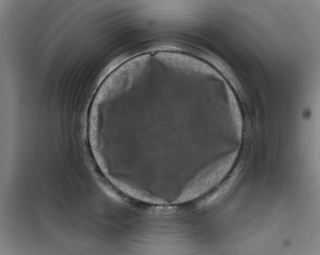 X0000099480858200805301617