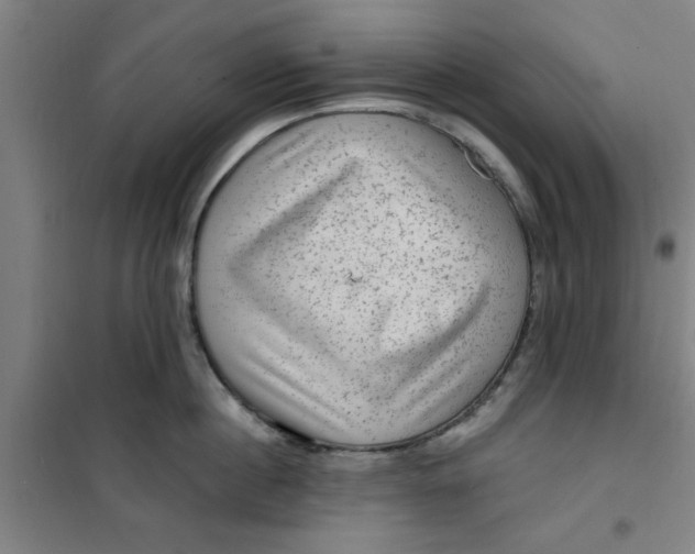 X0000099480860200805301617