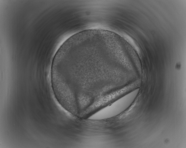 X0000099480863200805301617