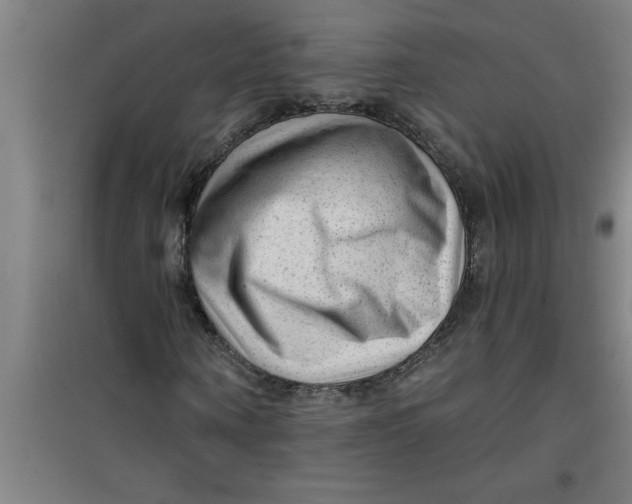 X0000099480866200805301617