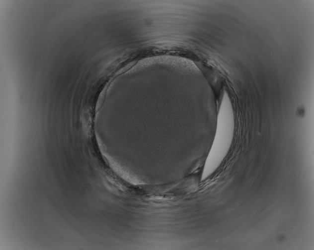 X0000099480868200805301617