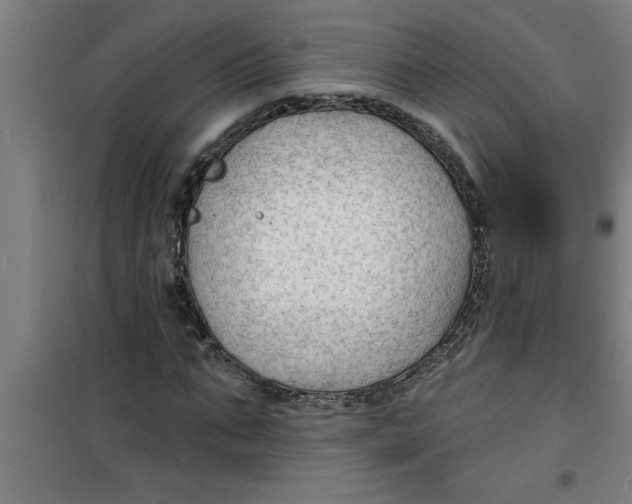 X0000099480871200805301617