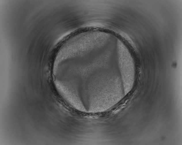 X0000099480872200805301617