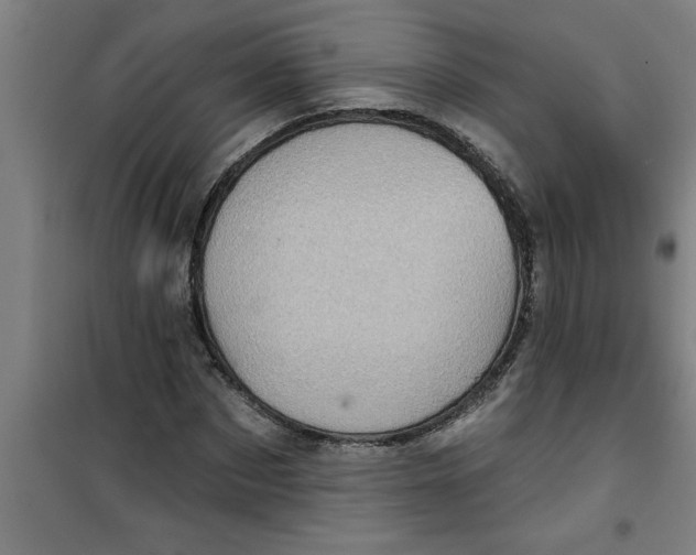 X0000099480873200805301617