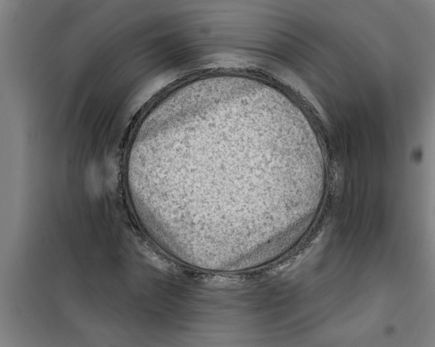 X0000099480874200805301617