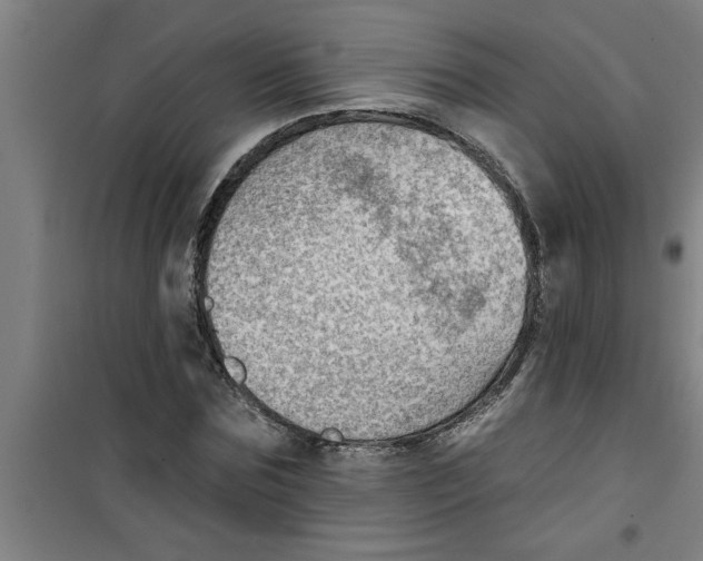 X0000099480875200805301617