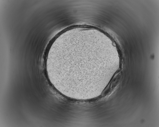 X0000099480876200805301617