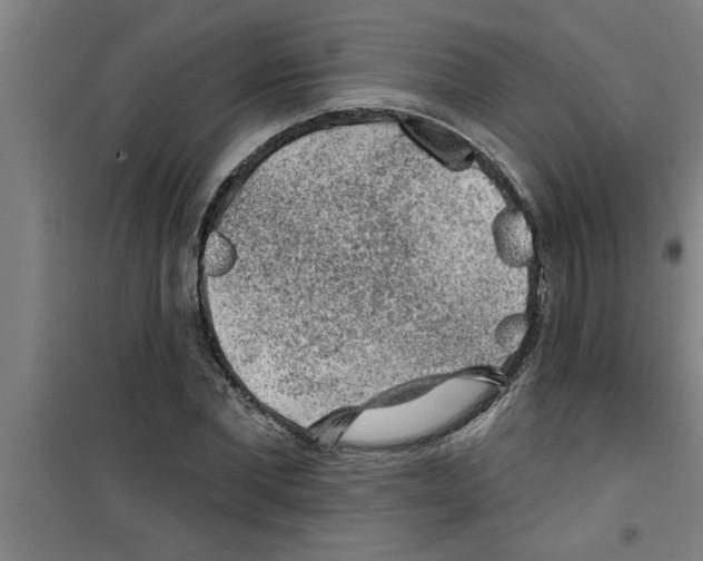 X0000099480877200805301617