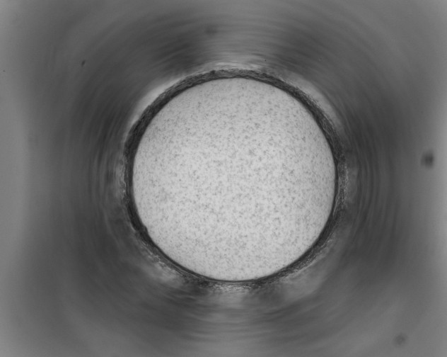 X0000099480878200805301617