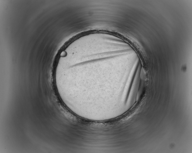X0000099480880200805301617