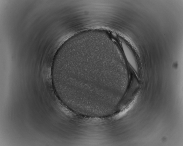 X0000099480881200805301617