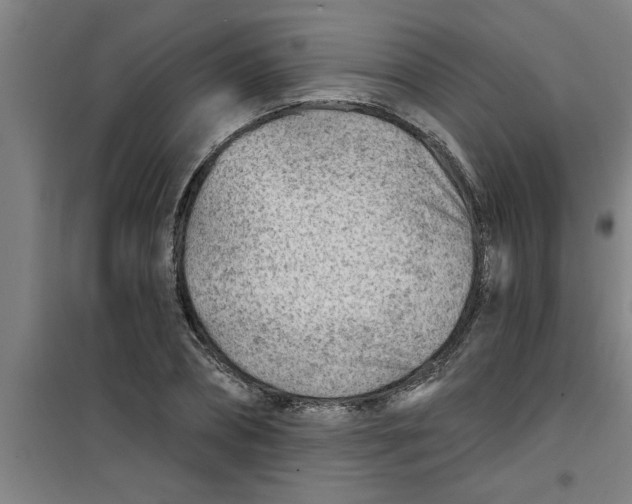 X0000099480882200805301617