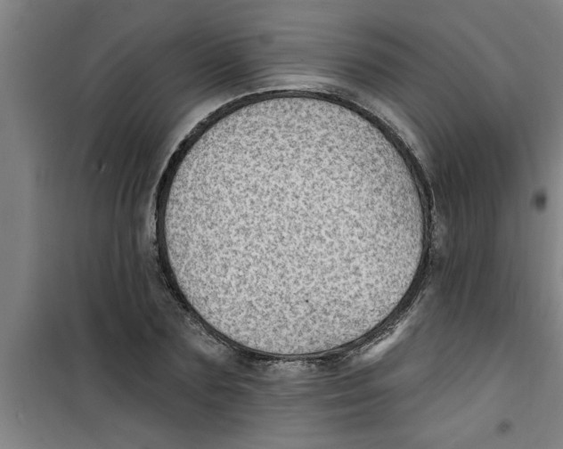 X0000099480883200805301617