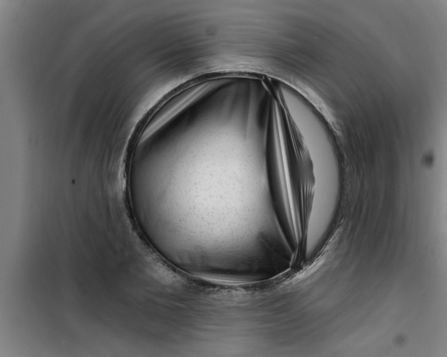 X0000099480885200805301616