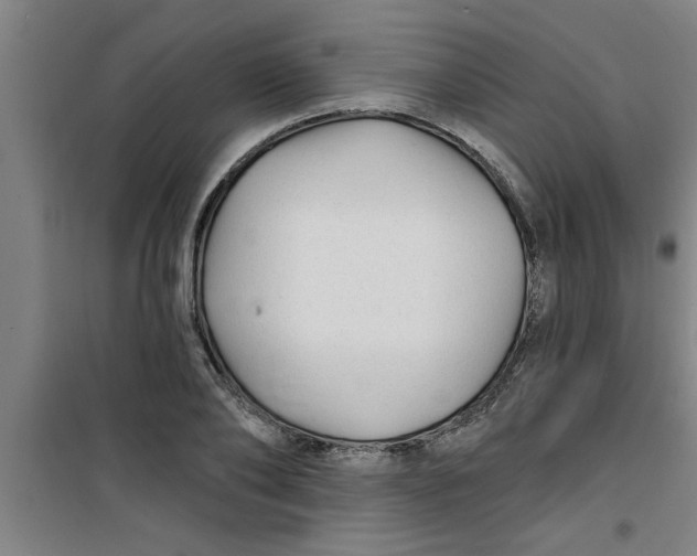 X0000099480886200805301616