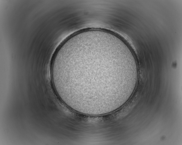 X0000099480887200805301616