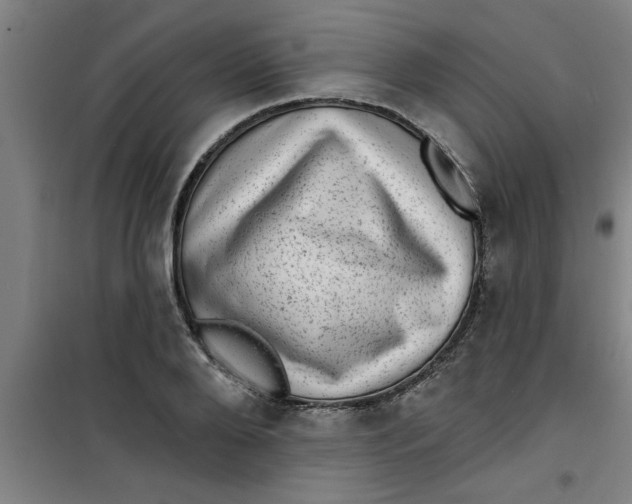 X0000099480888200805301616